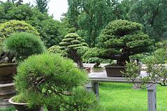 884-Suzhou,19 luglio 2014